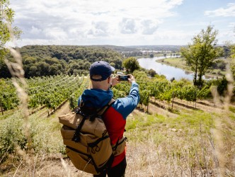 Ein Mann mit Rucksack steht auf einem Weinberg und fotografiert die schöne Landschaft. Vor ihm sind die Weinberge, ein Wald und der Fluss zu sehen.