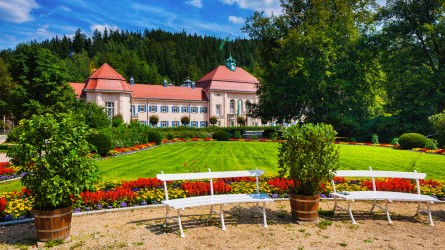 Blick vom Garten auf ein schönes, größes Gebäude